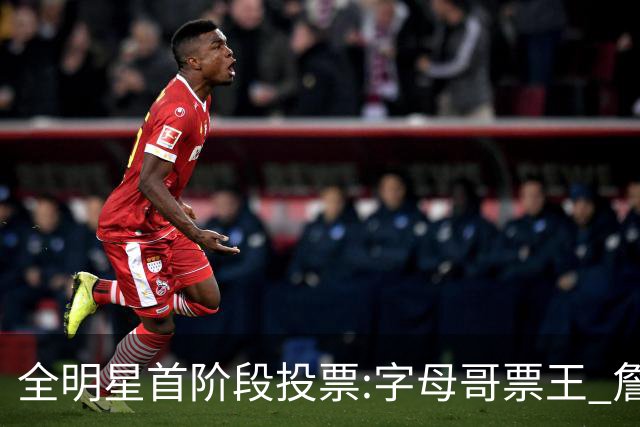 全明星首阶段投票:字母哥票王 詹姆斯西部票王