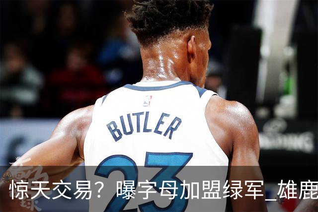 惊天交易？曝字母加盟绿军 雄鹿为布朗寻找第三方